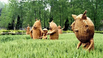 農(nóng)業(yè)部：探索新型農(nóng)業(yè)結(jié)構(gòu) 種養(yǎng)結(jié)合實現(xiàn)農(nóng)牧雙贏